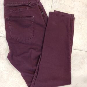 Knox Rose Dark Burgundy Pants